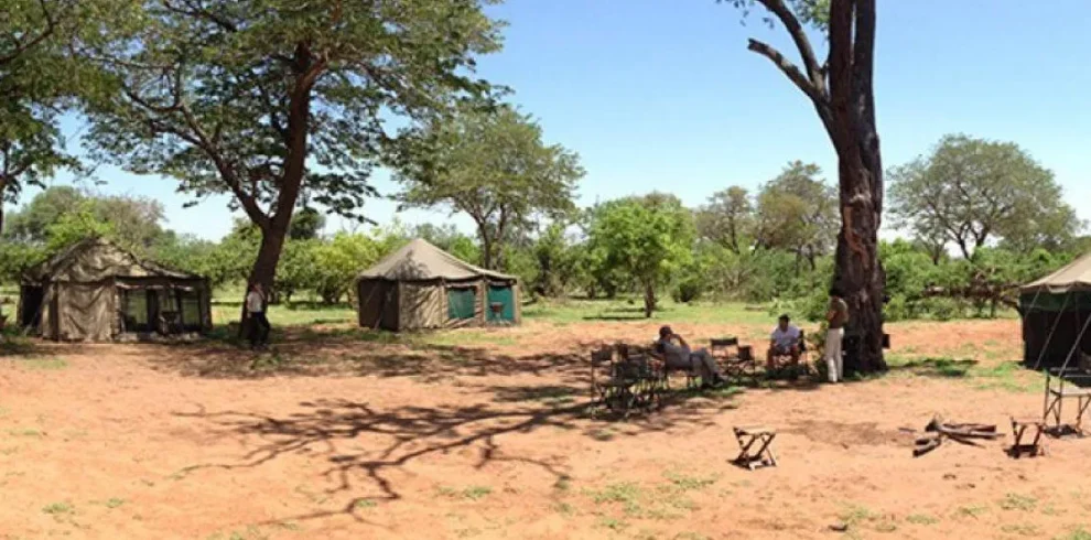 imgi_2_Safariincampomobile