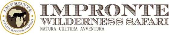 Impronte Wildness Safari