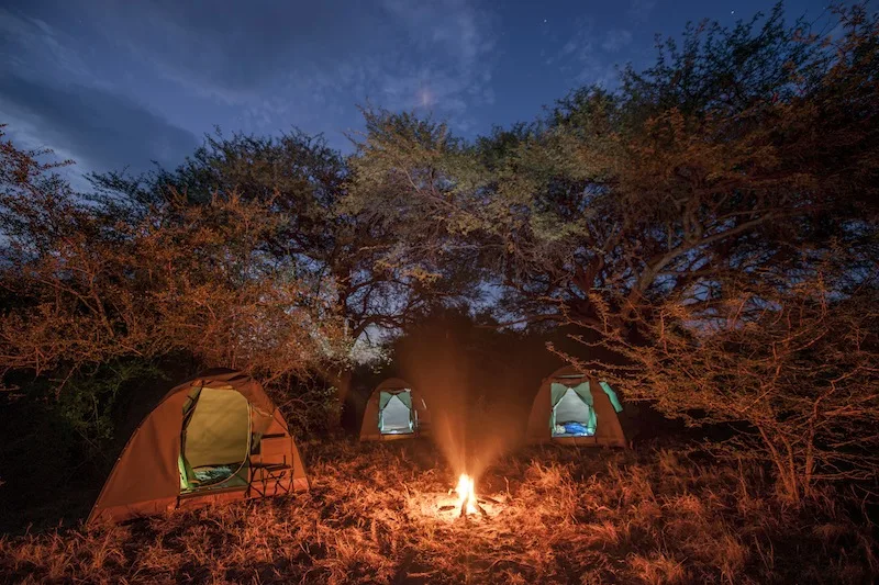 Botswana - Leopard Safari - Camping Safari