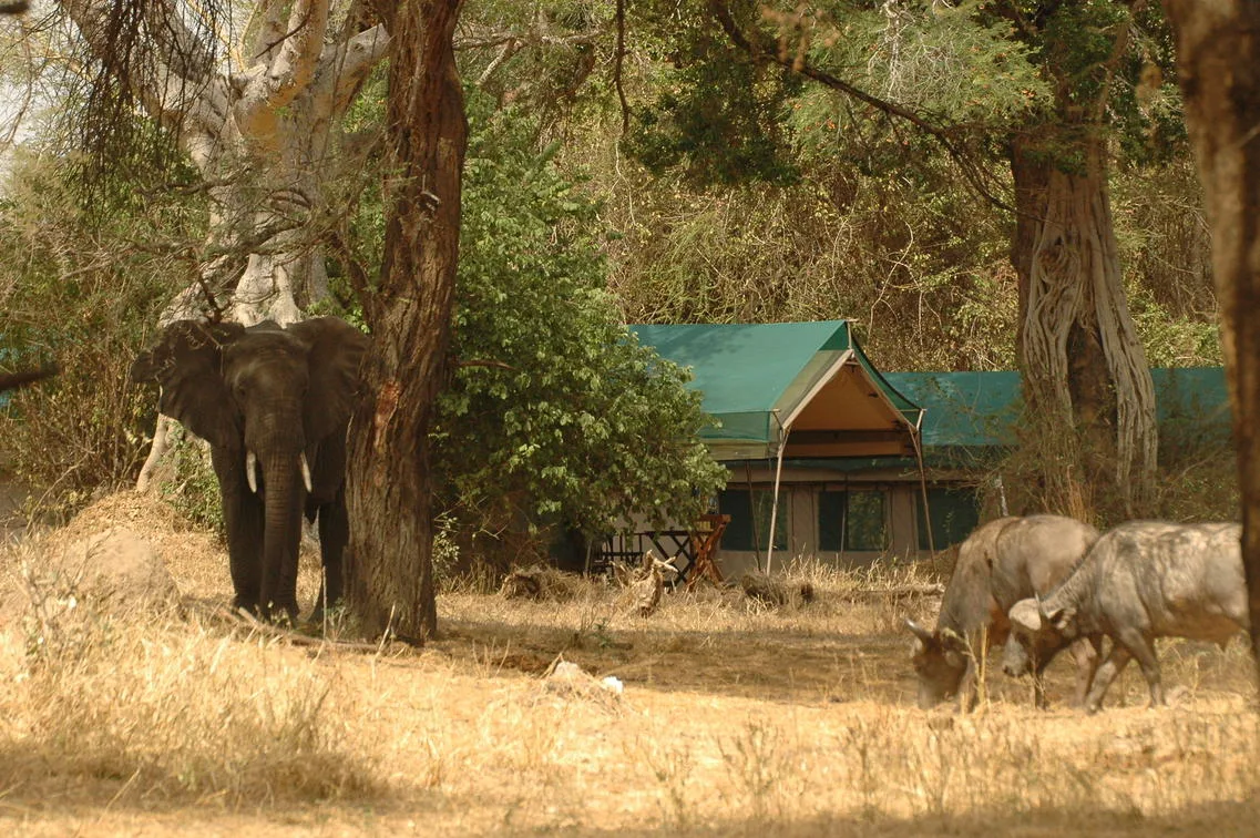 Tanzania - I parchi del sud