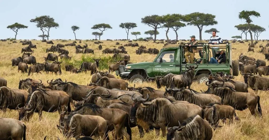 Masai Mara e non solo - Safari Etiquette