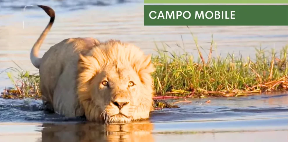 Botswana Adventure