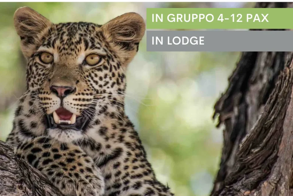 Botswana Wild Parks