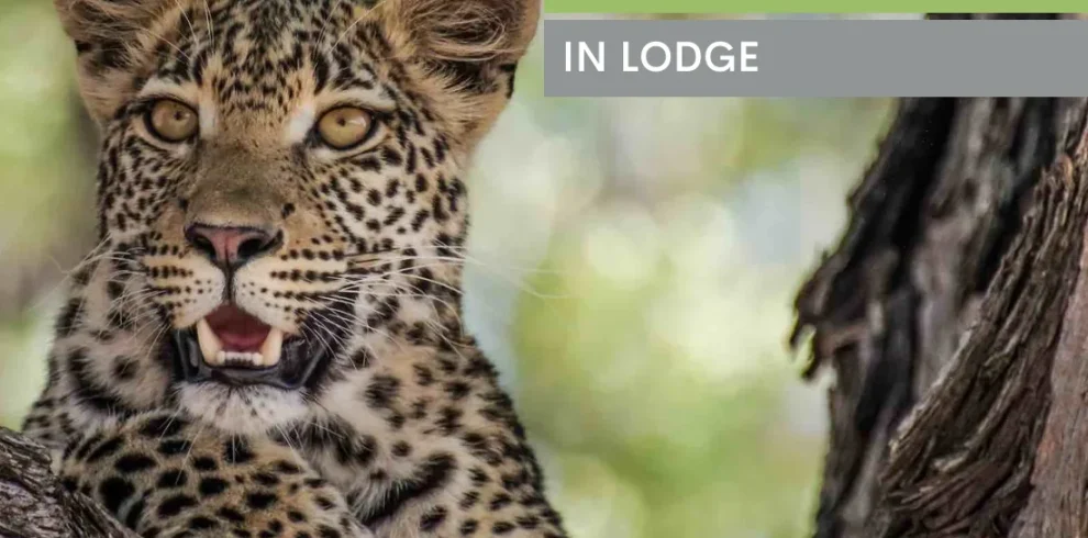 Botswana Wild Parks