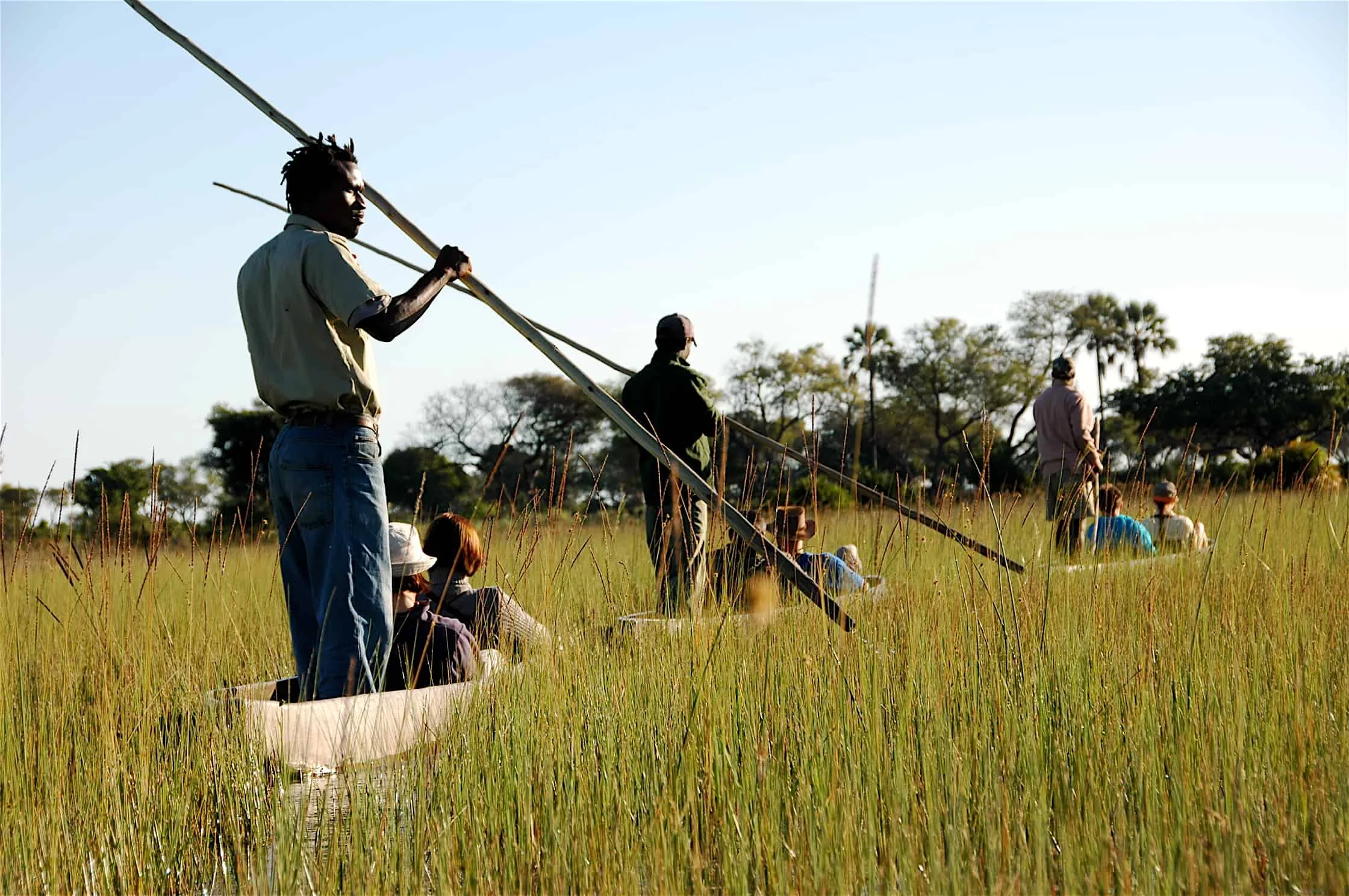 Overland - Botswana Wildside