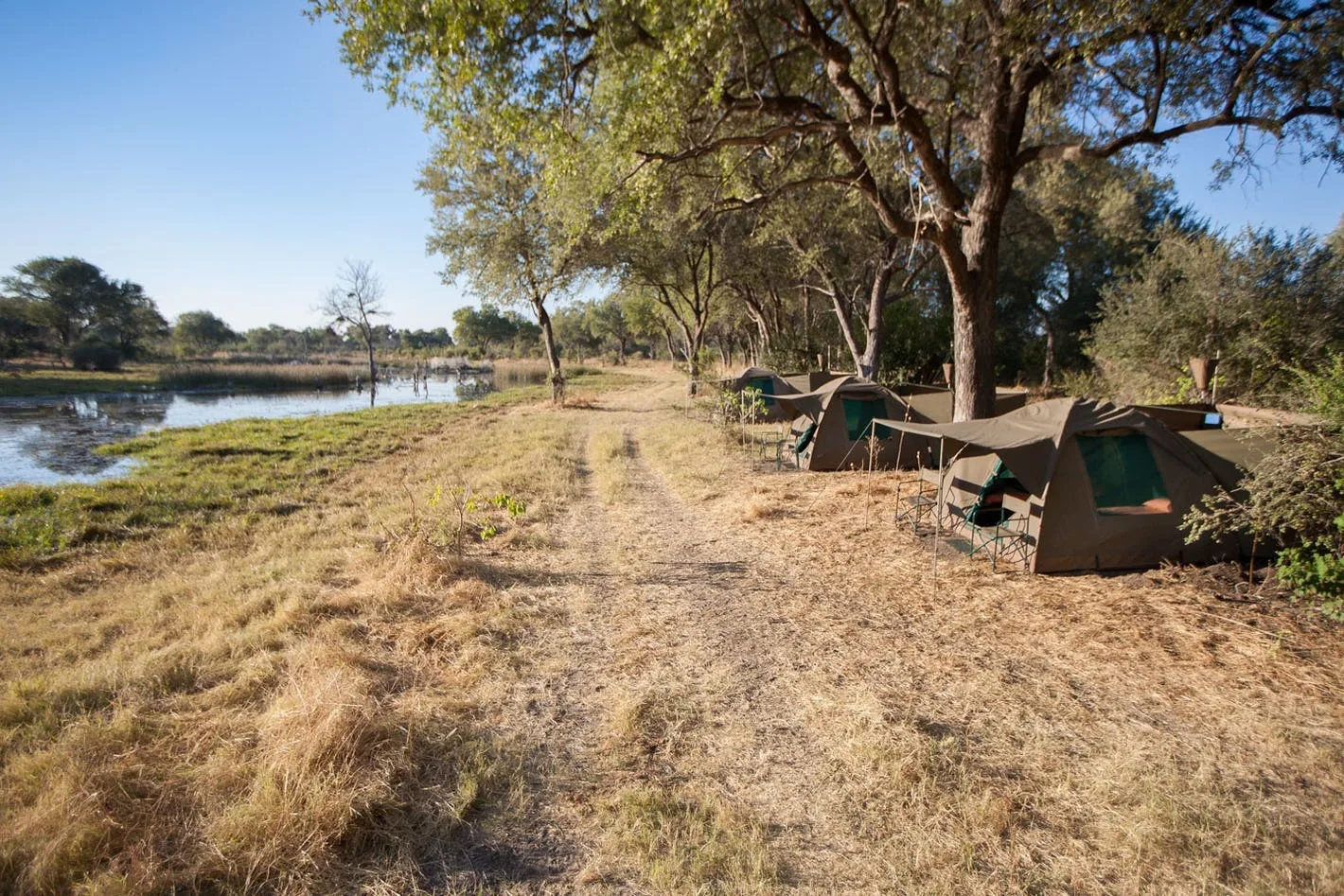 Wild Botswana - Chobe Savute e Moremi in campo mobile