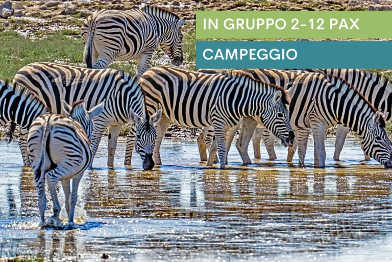 Overland – Da Città del Capo alle Cascate Vittoria