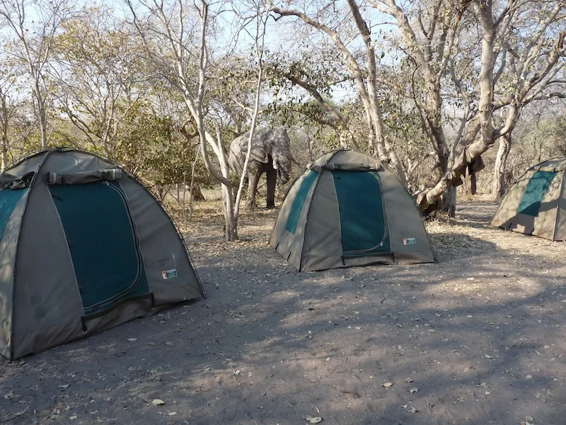 Botswana - Kalahari Safari - Camping Safari