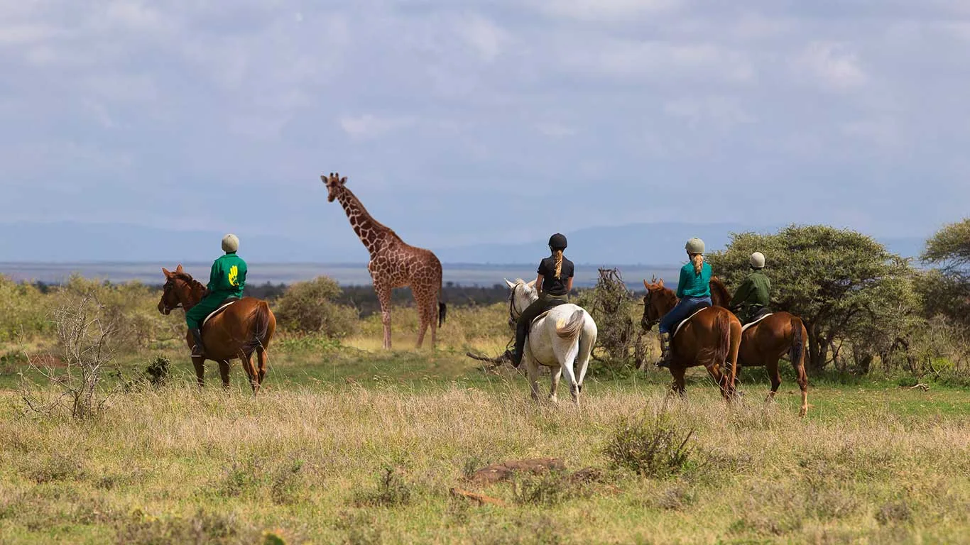 Kenya - Loisaba Tented Camp