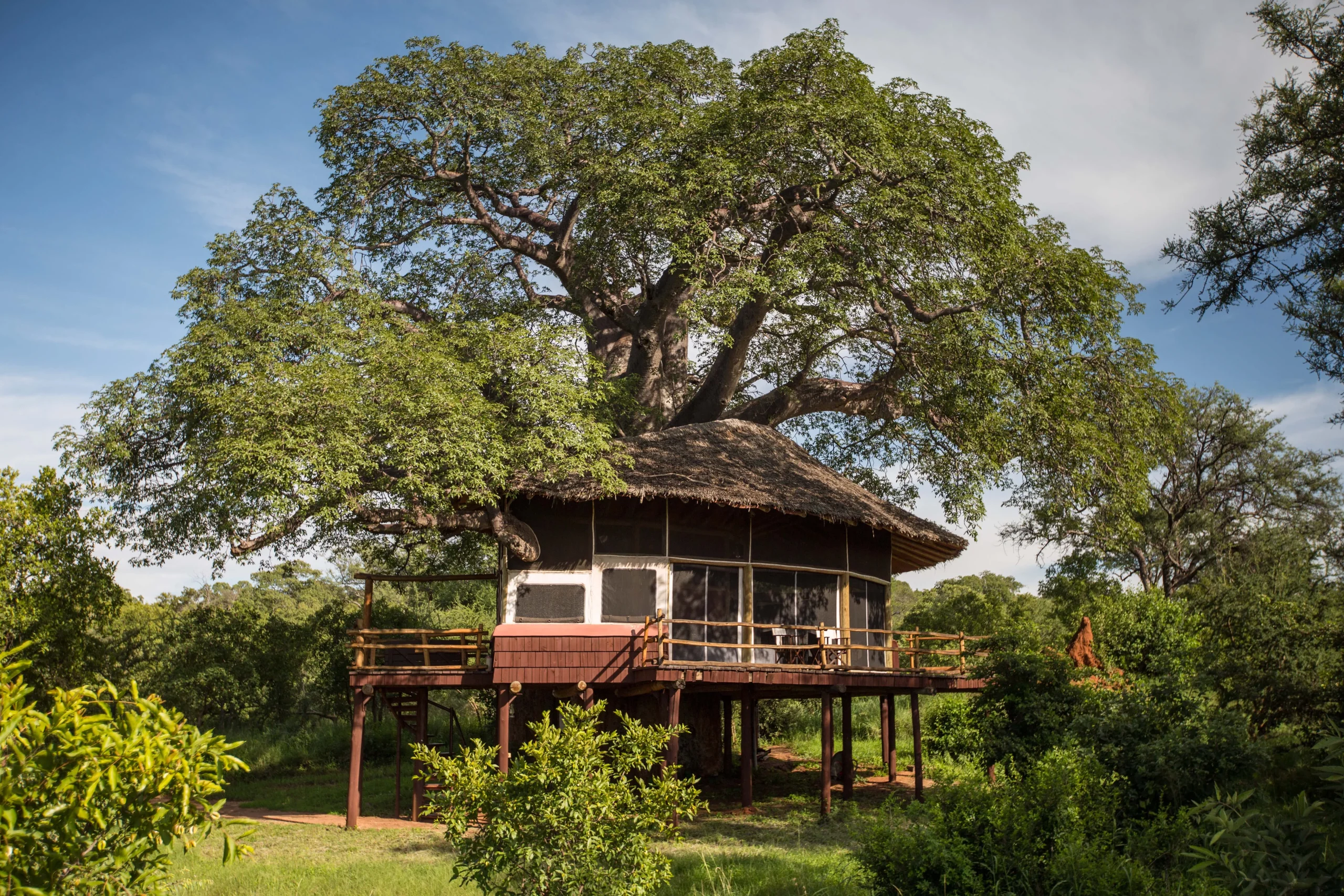 Tanzania deluxe - Elewana collection
