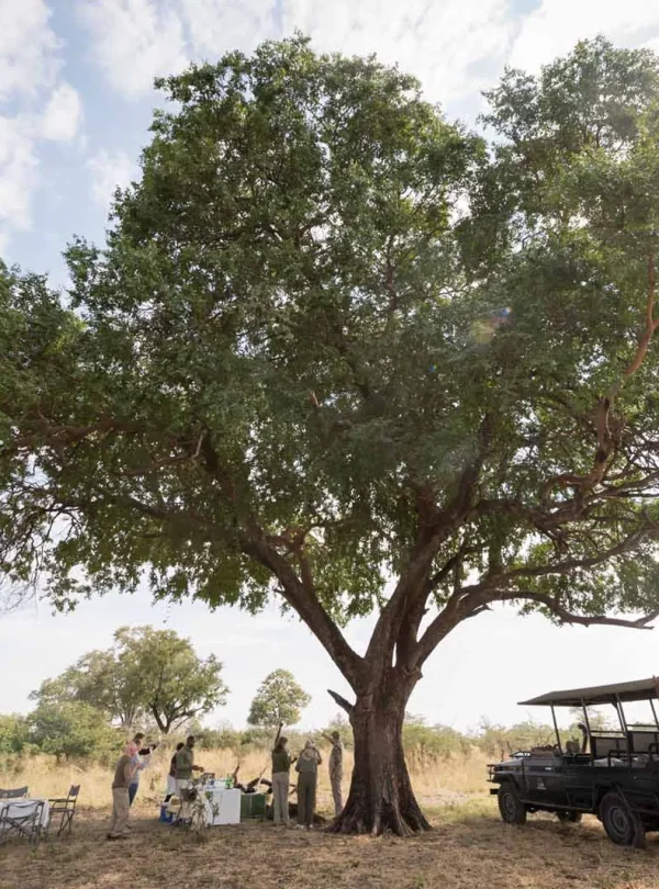 Botswana Glamping Mobile Safari