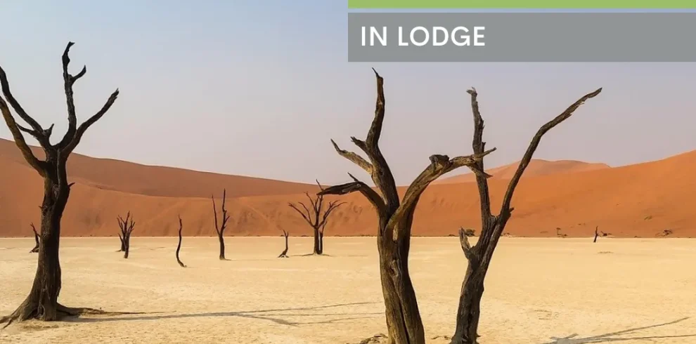 Namibia Discovery