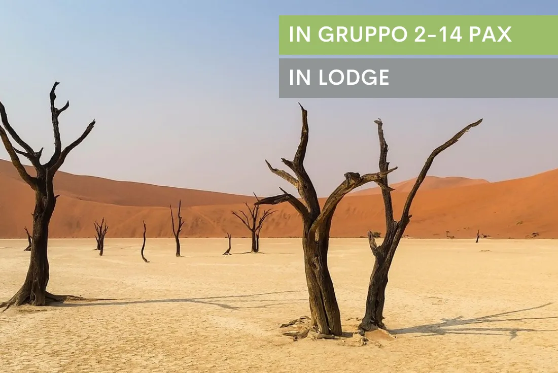 Namibia Discovery