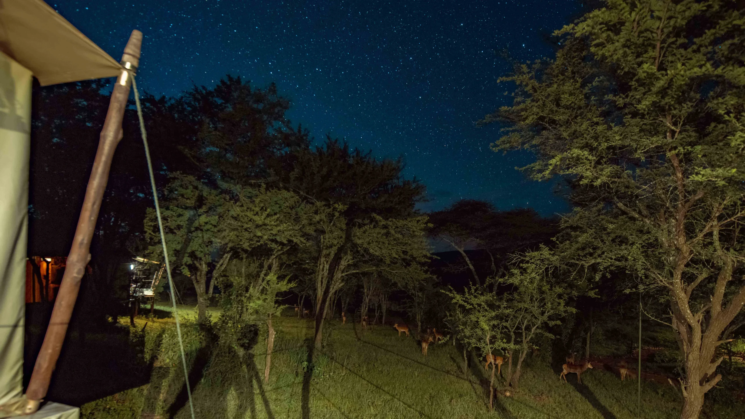 Ole Serai Luxury Camp Moru Kopjes
