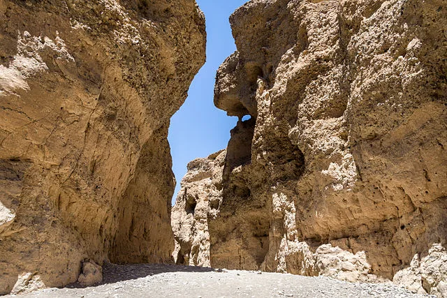 Desert Rivers & Wildlife Adventure