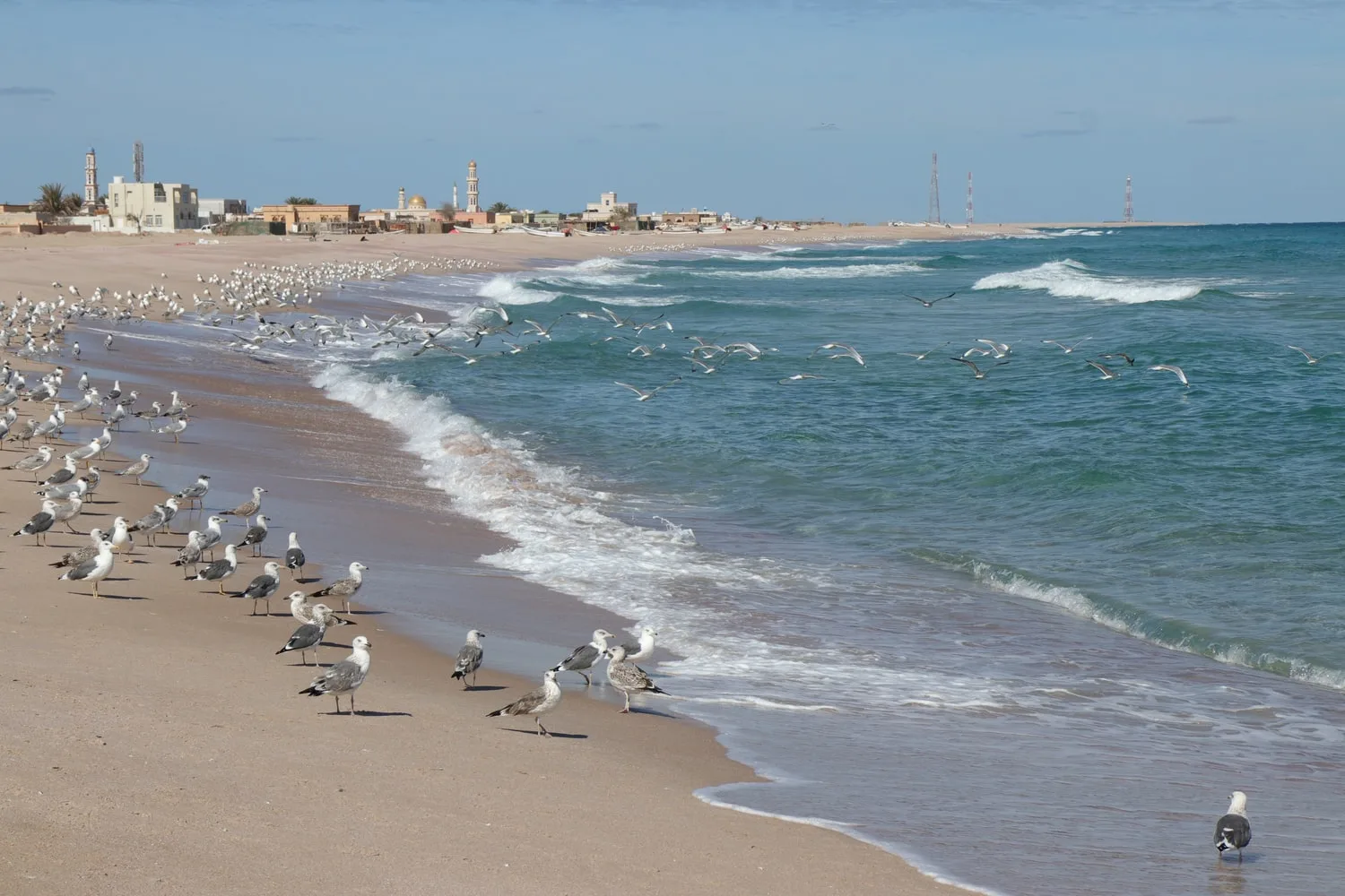 Oman - Dalle montagne alla spiaggia