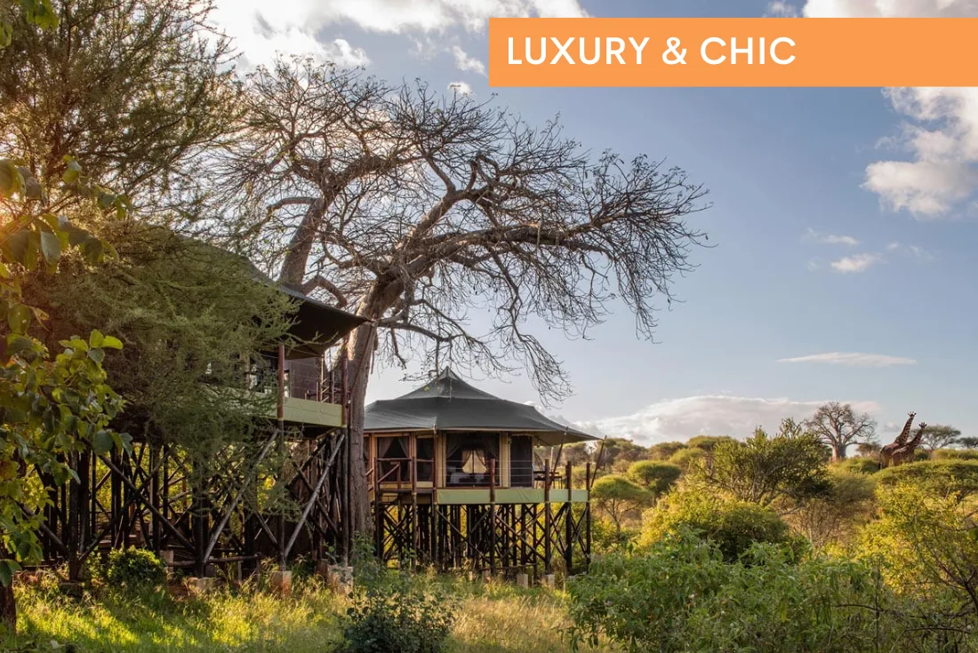 Tanzania – Tarangire Kuru Treetops Lodge