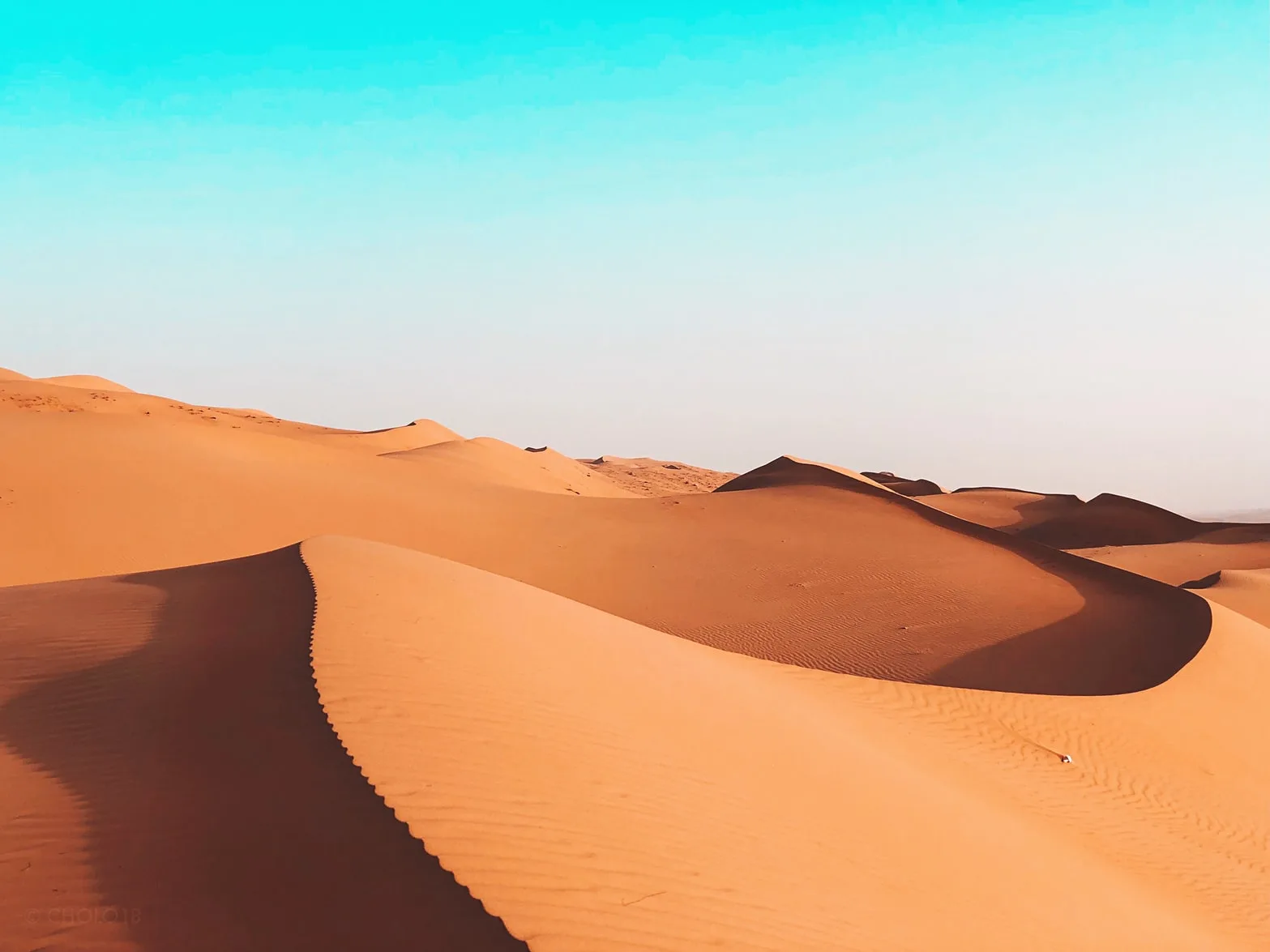 Oman - Dalle montagne alla spiaggia