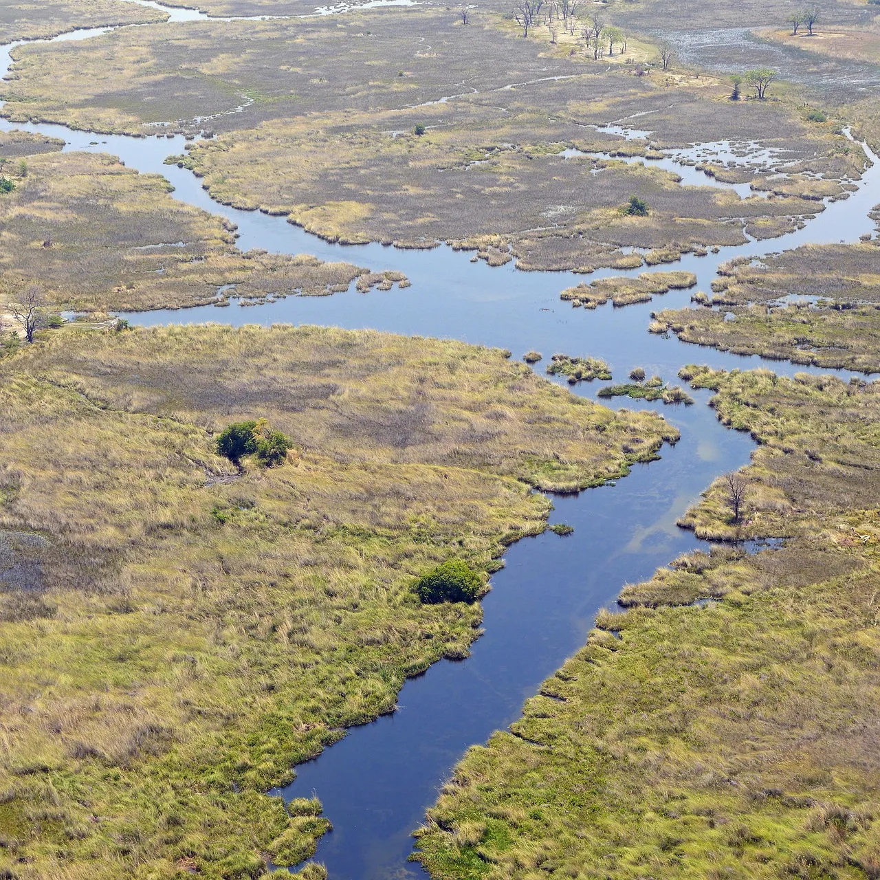 Botswana: Wildlife Lodge Safari