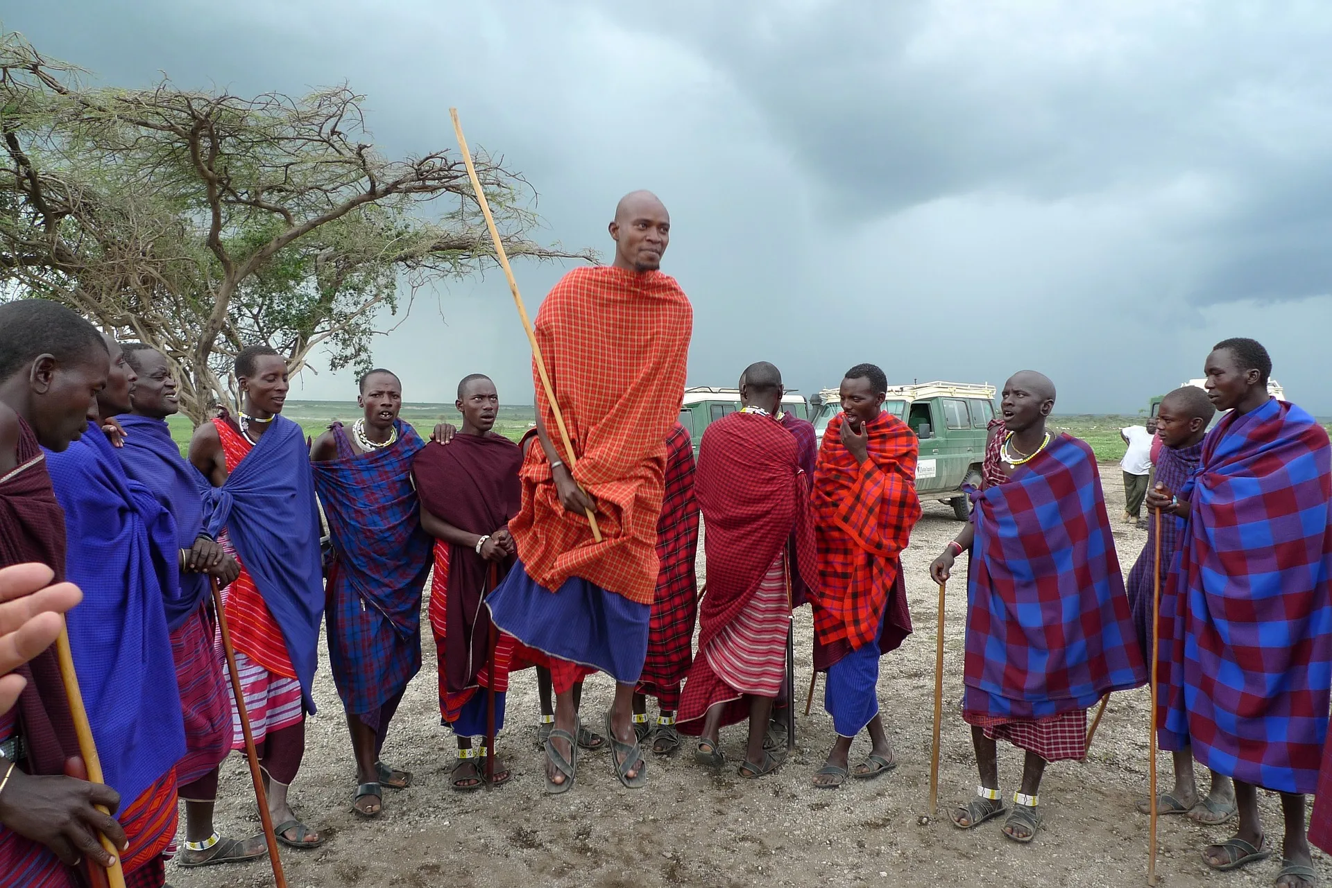 Kenya - Il Masai Mara, Amboseli e Tsavo