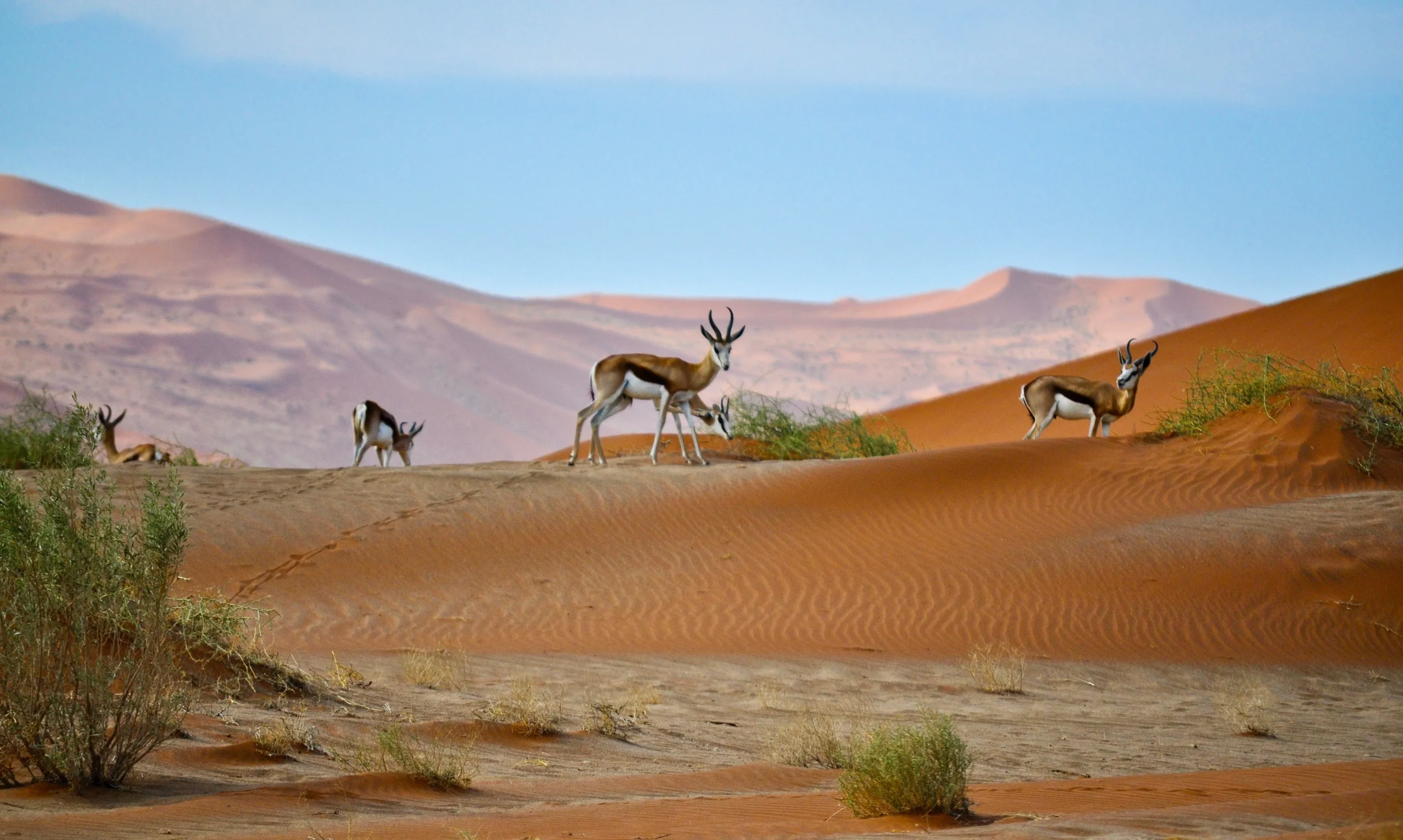 Namibia Adventure