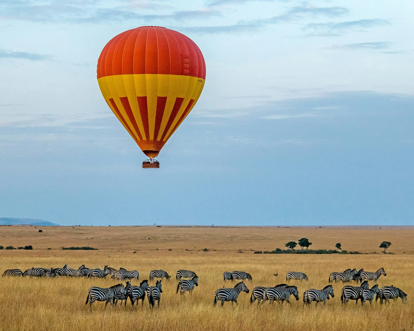 Magico Kenya