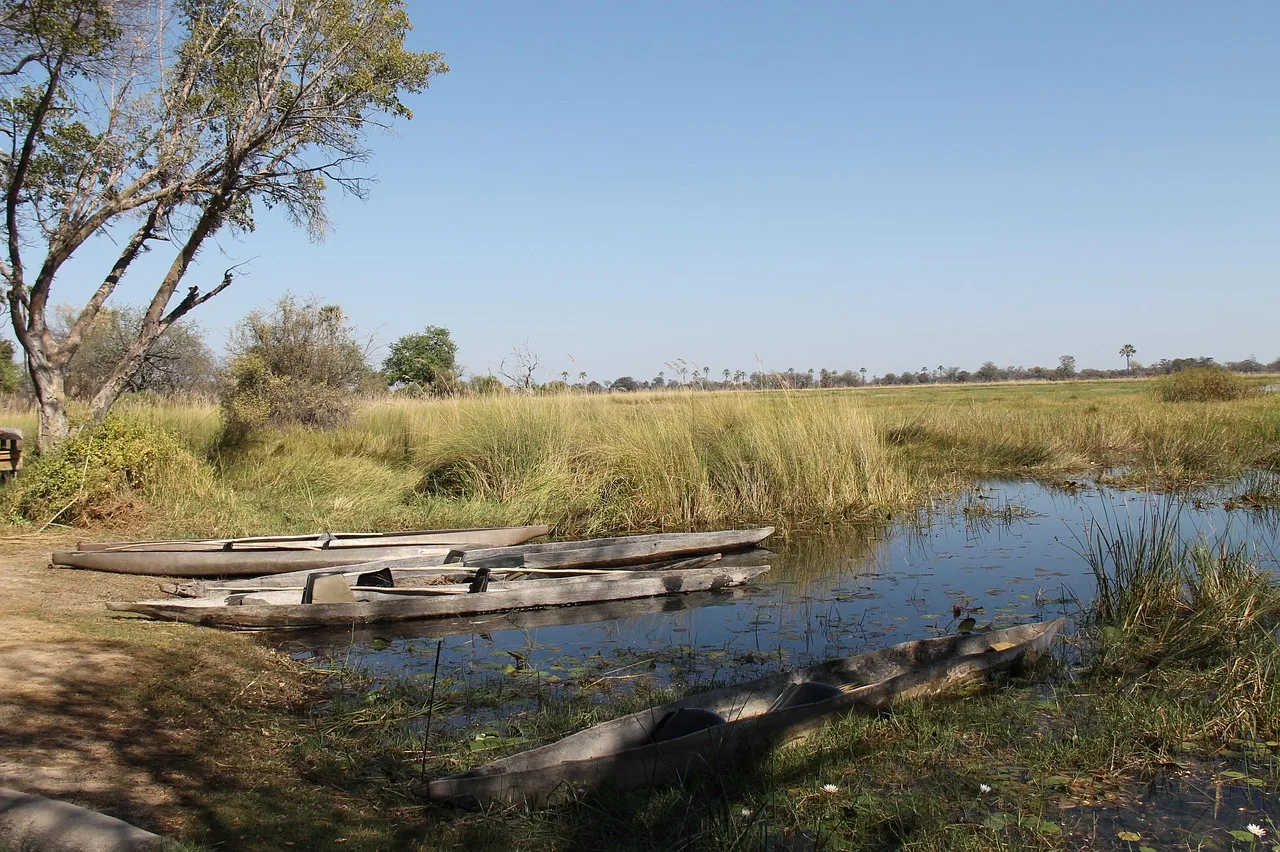 Botswana: Wildlife Lodge Safari