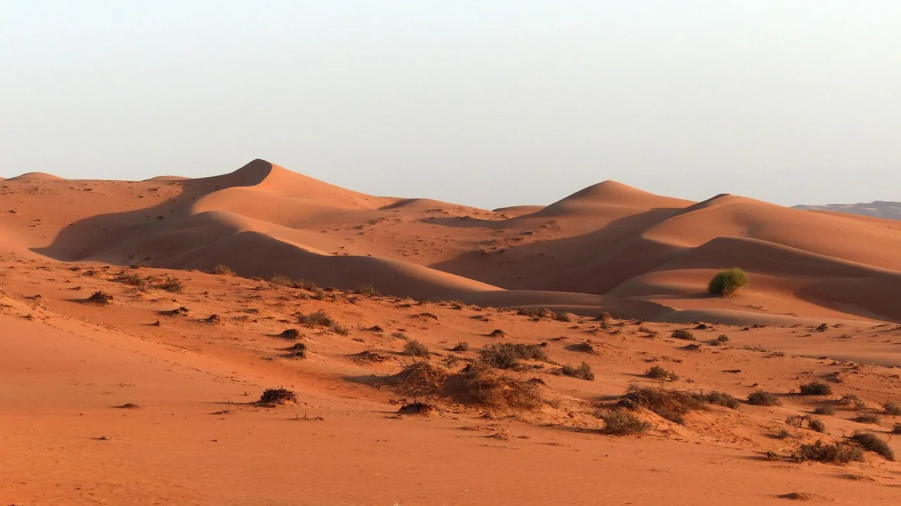 Essenza dell'Oman