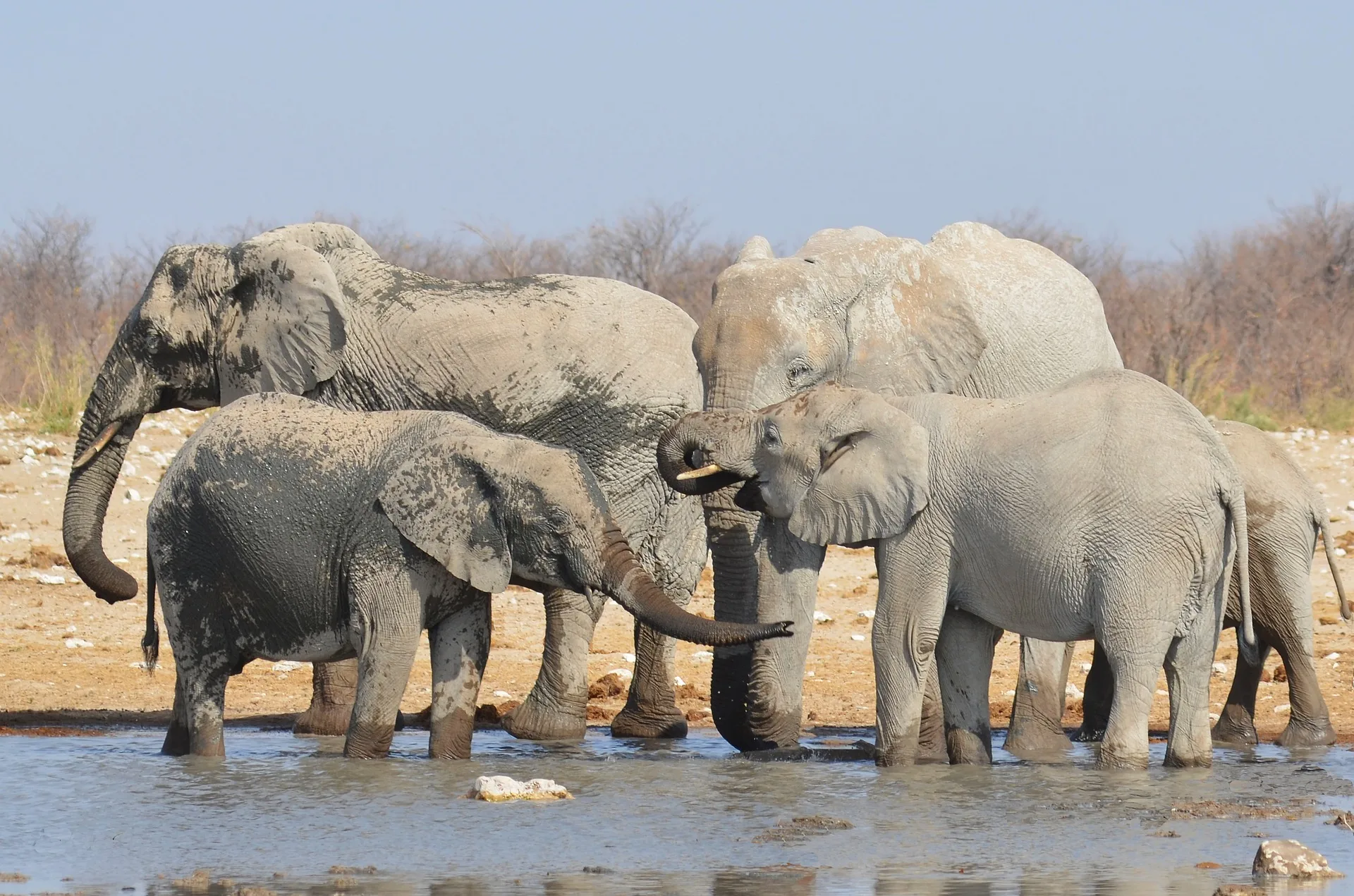 Meravigliosa Namibia