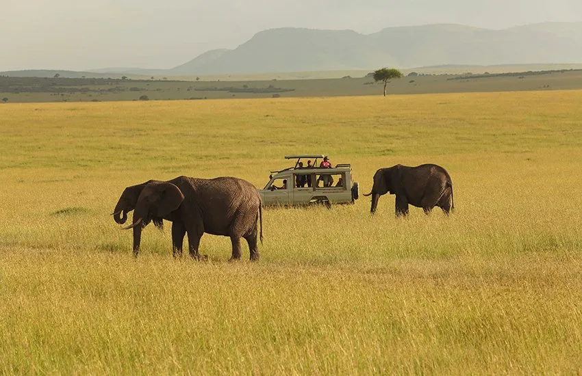 Shaba National Park