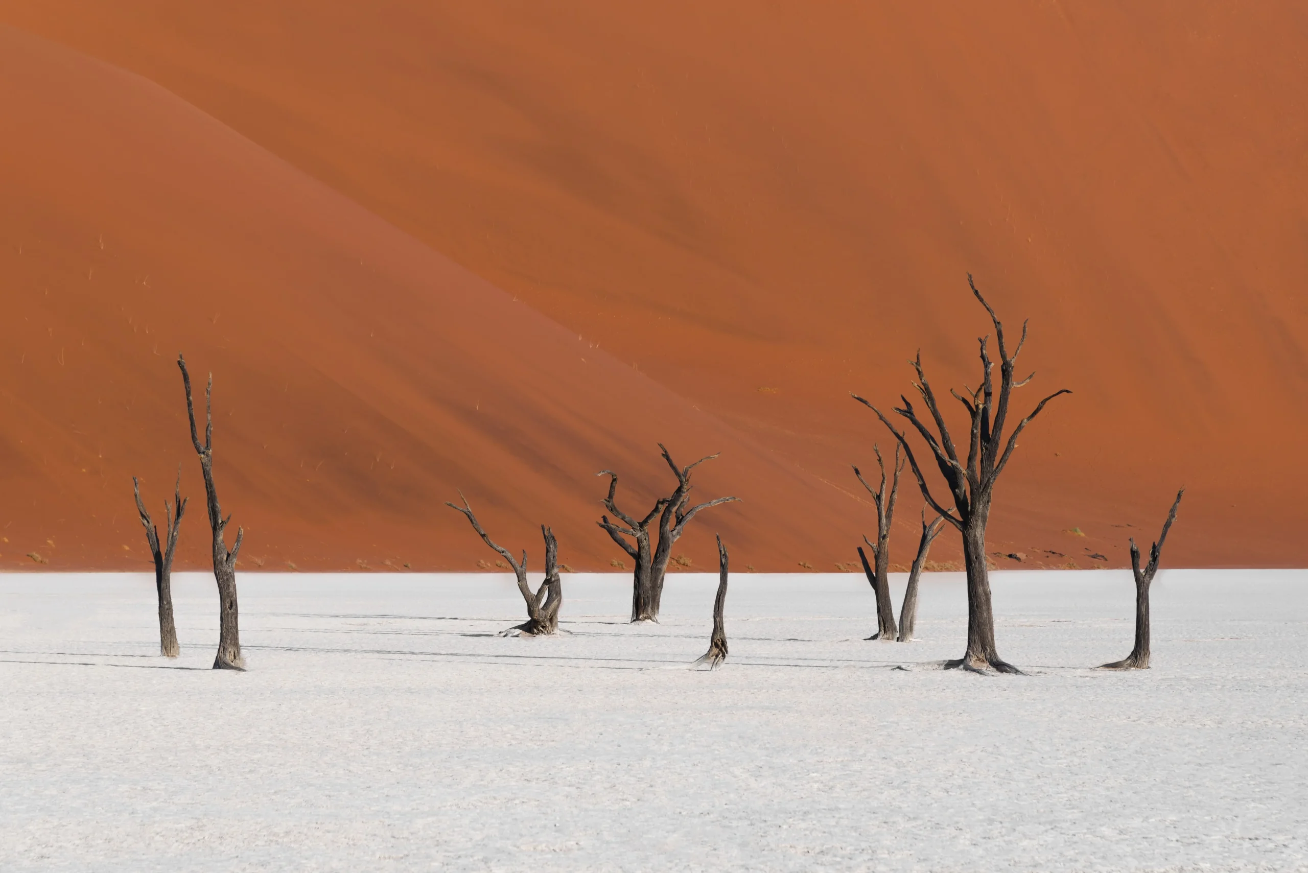 Namibia Adventure
