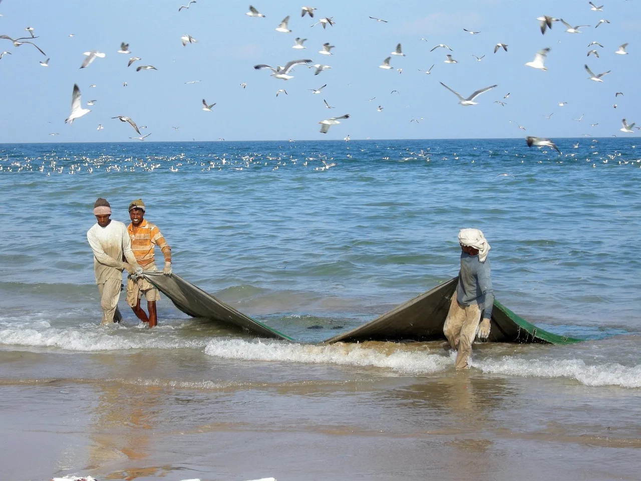Essenza dell'Oman
