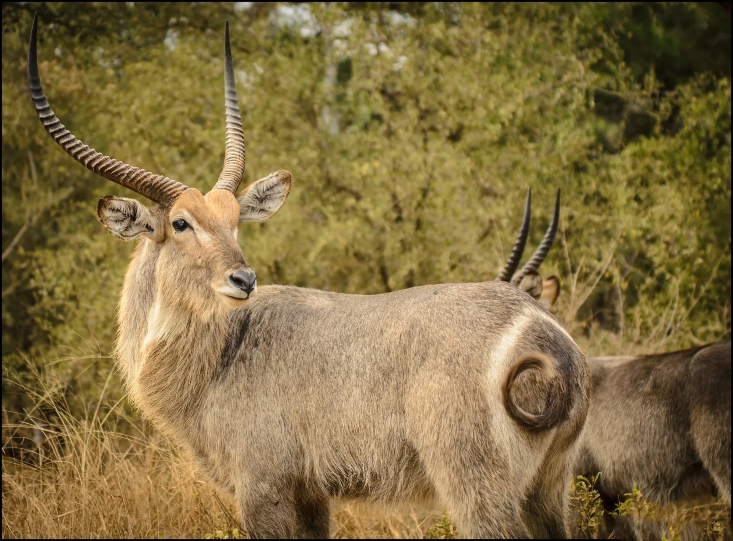 Sud Africa - Mahlori Tour