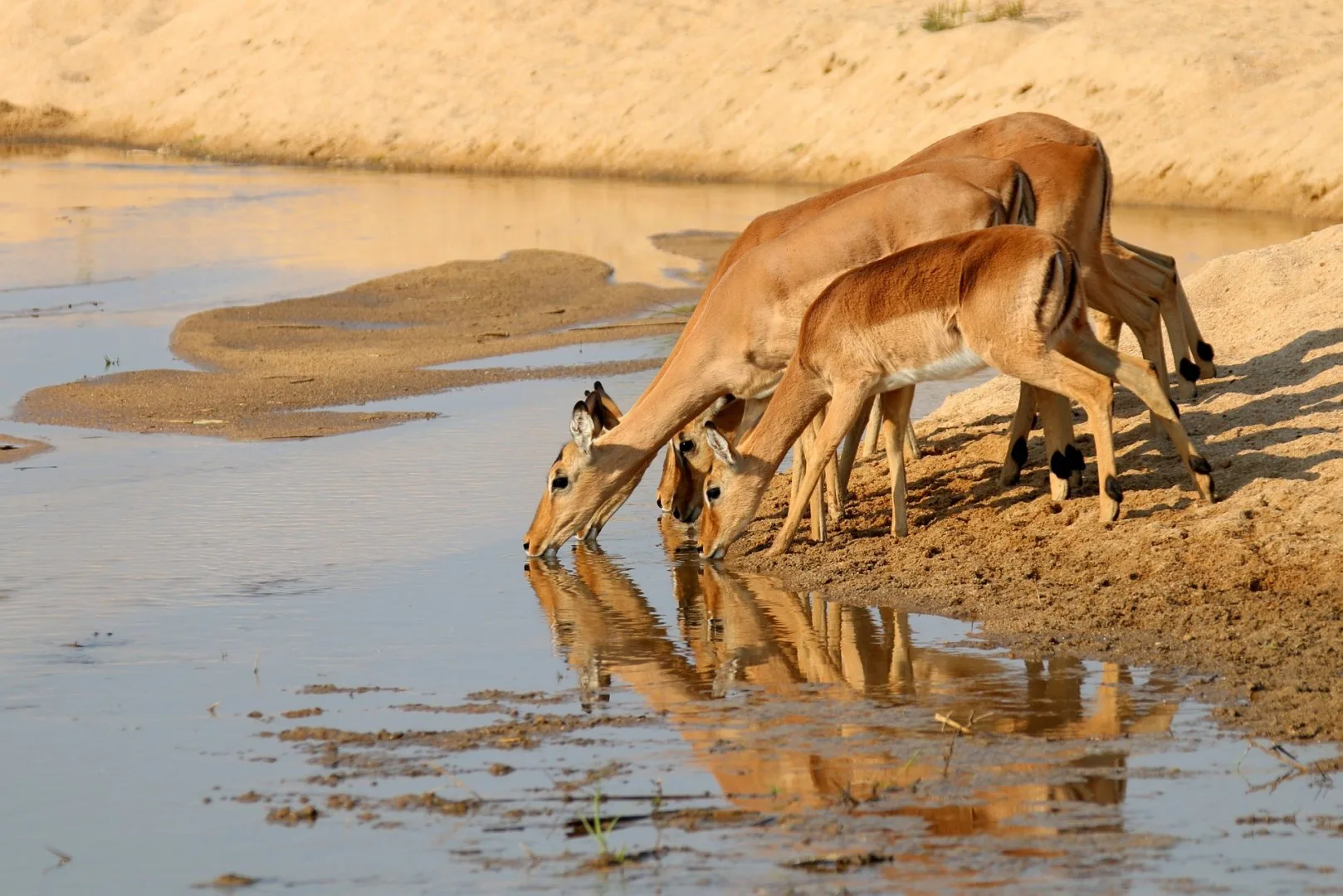 Sud Africa - Mahlori Tour