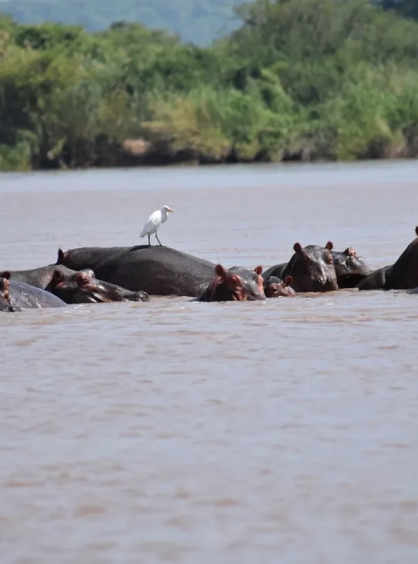 Best of Zambia