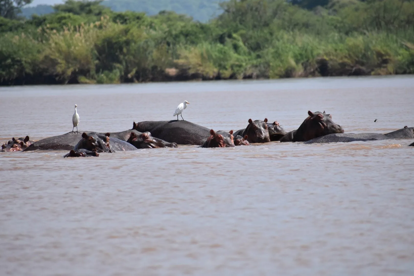 Best of Zambia