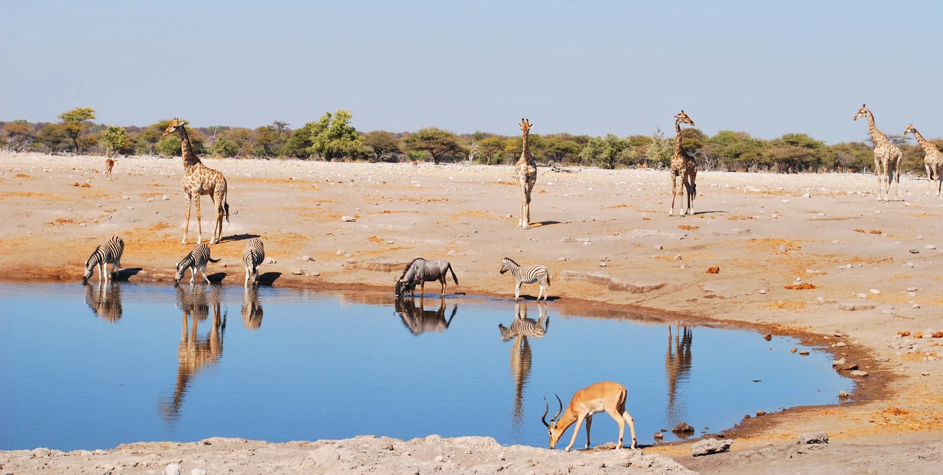 Namibia camping self drive