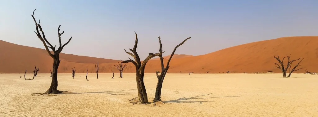 Namibia Discovery