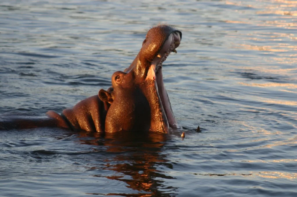 Botswana