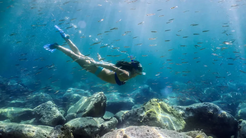 Mauritius o Seychelles?