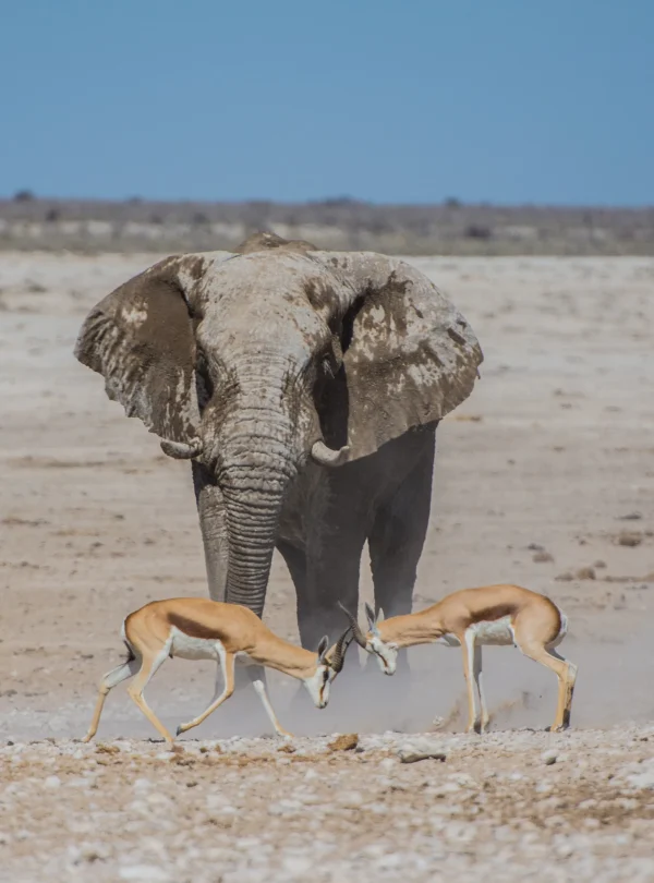 Namibia Adventure