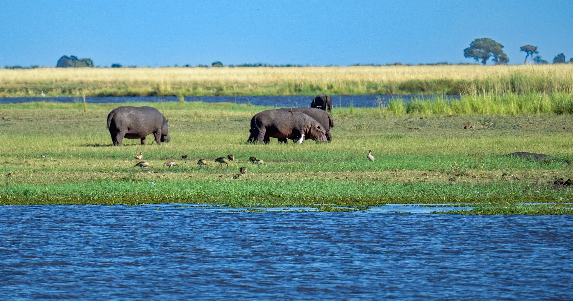 Overland - Namibia Botswana Desert & Delta