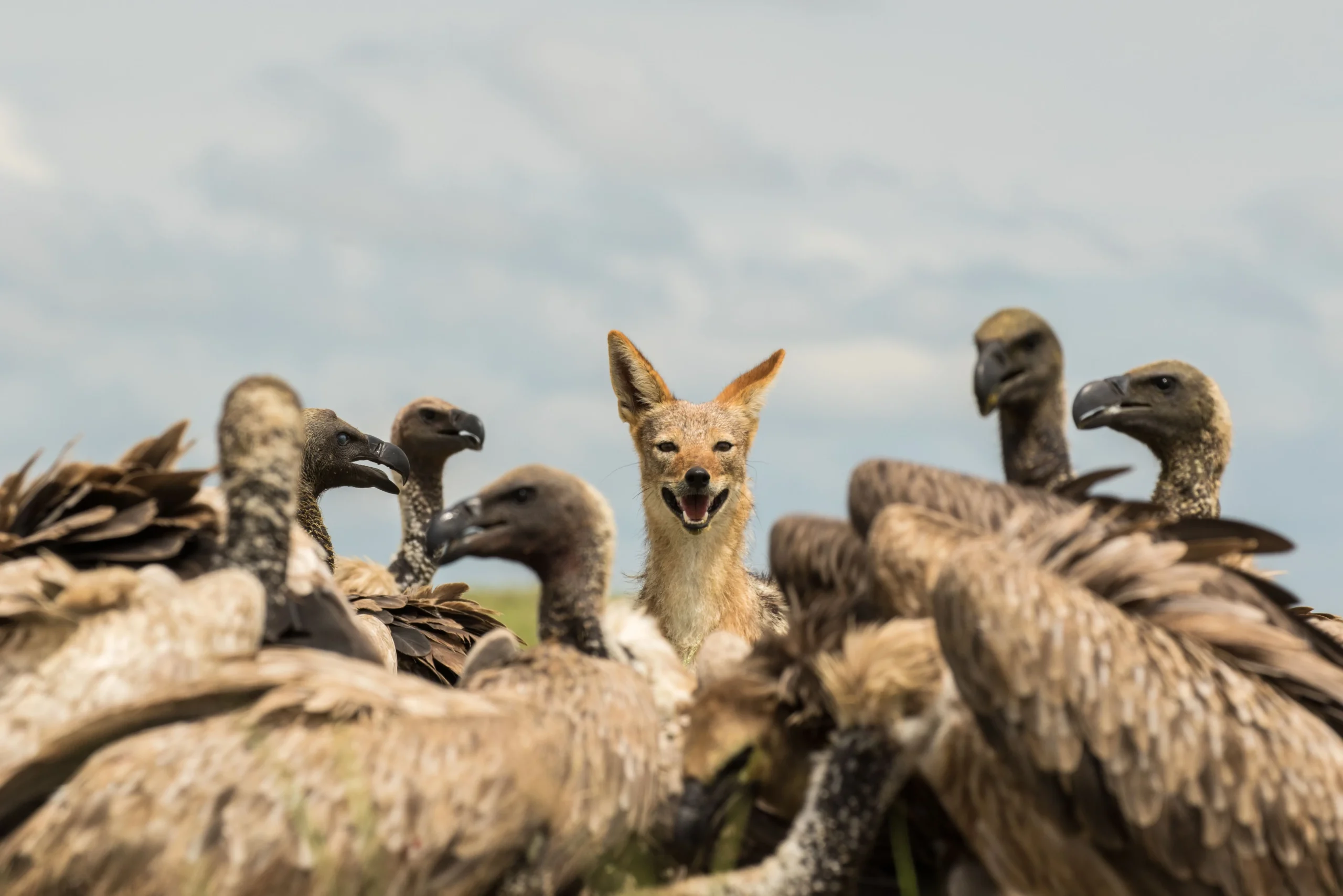 Botswana – San Camp