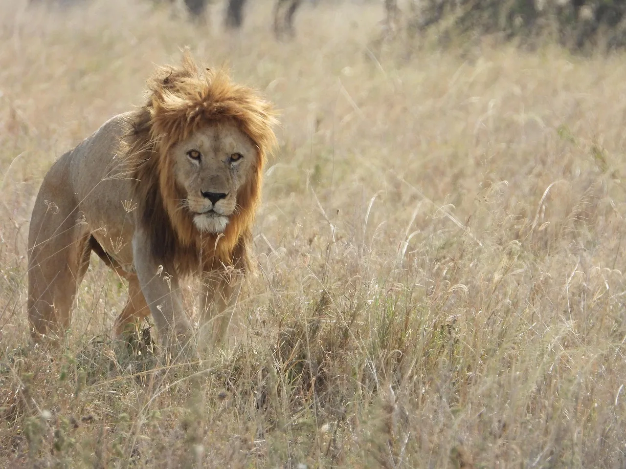 Tanzania : South Circuit