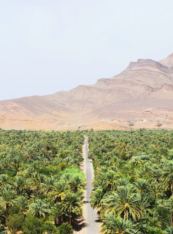 Marocco - Marrakech, montagne, oasi e deserto
