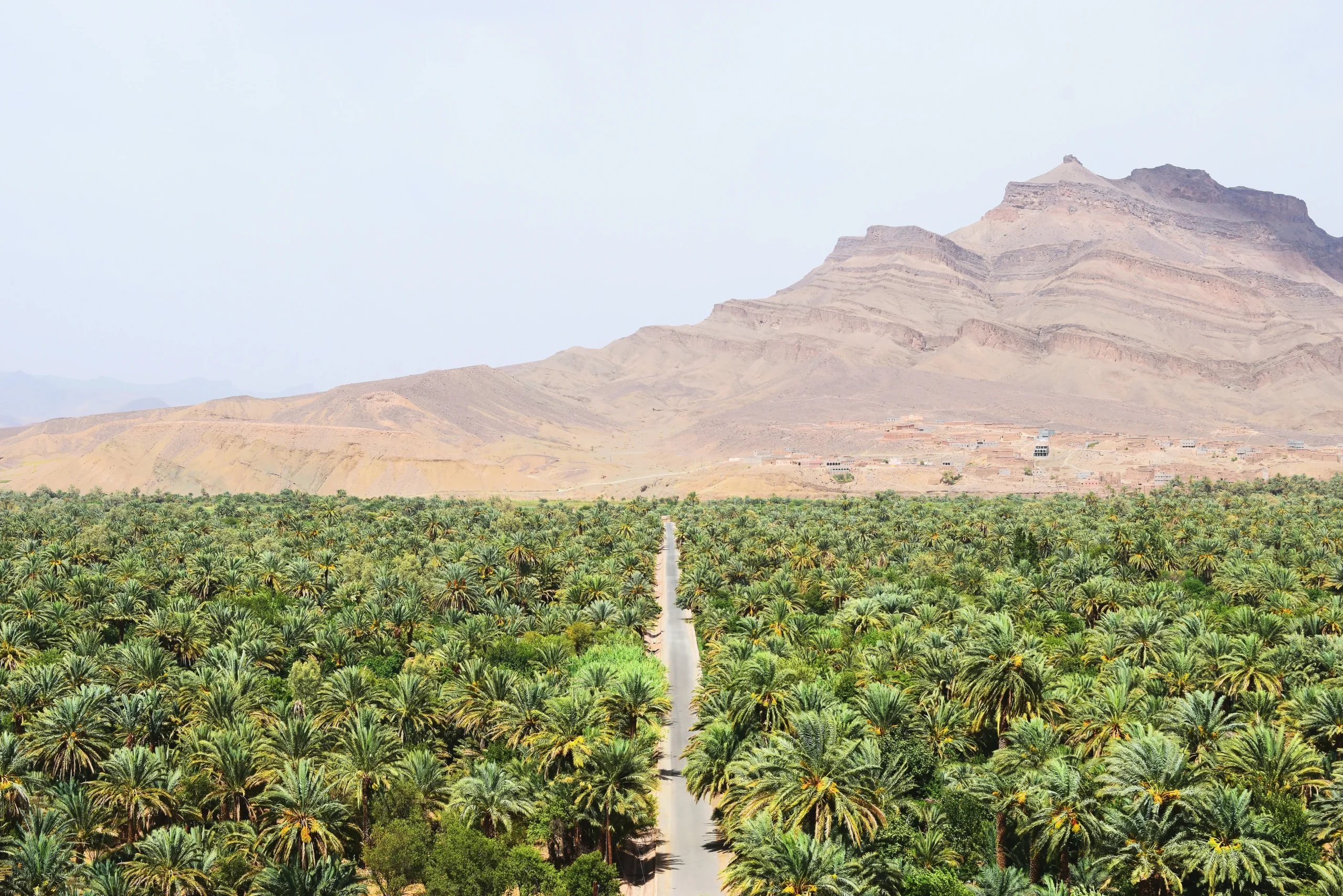 Marocco - Marrakech, montagne, oasi e deserto
