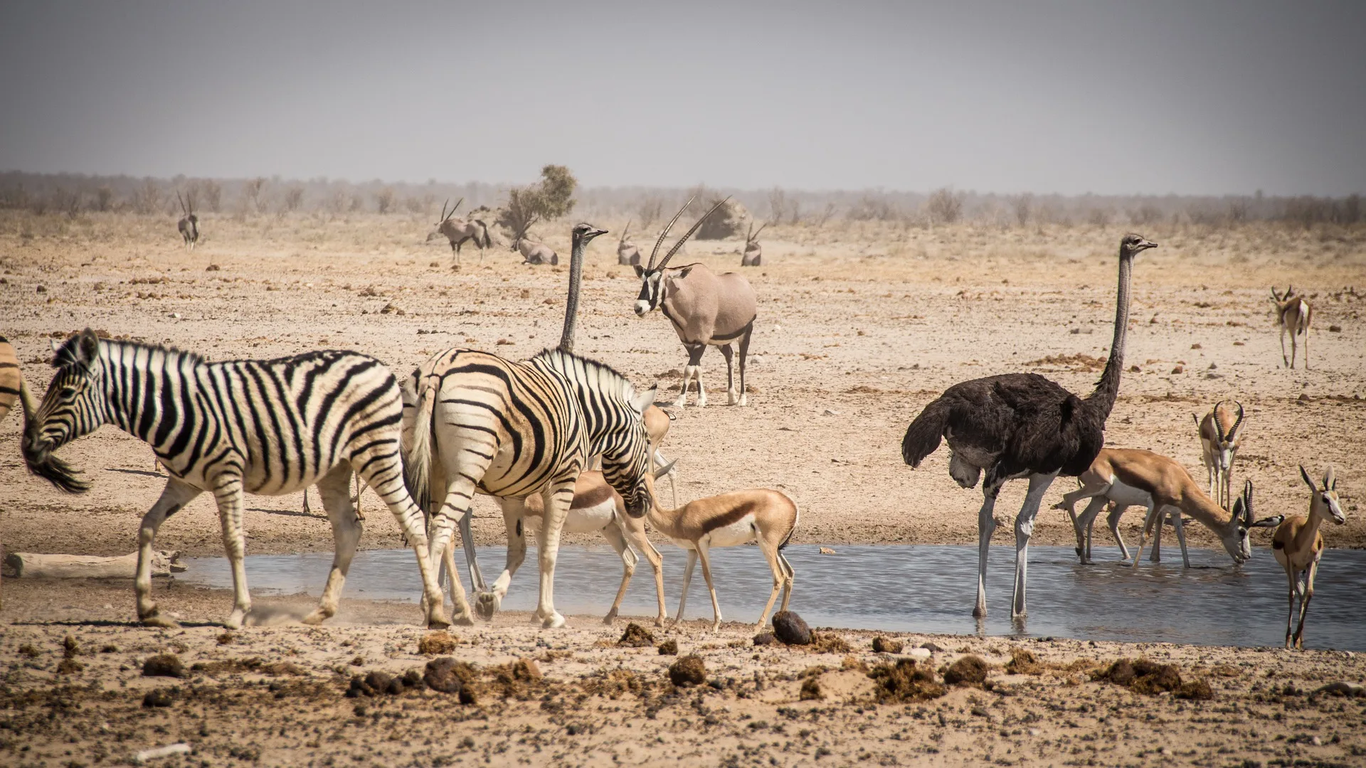 Namibia - Himba e deserti