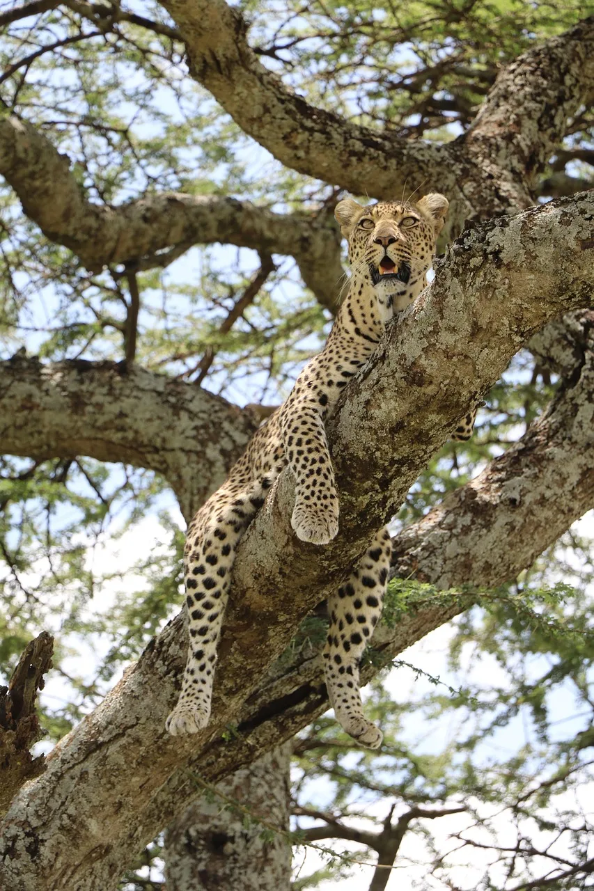 Tanzania: Northern Circuit