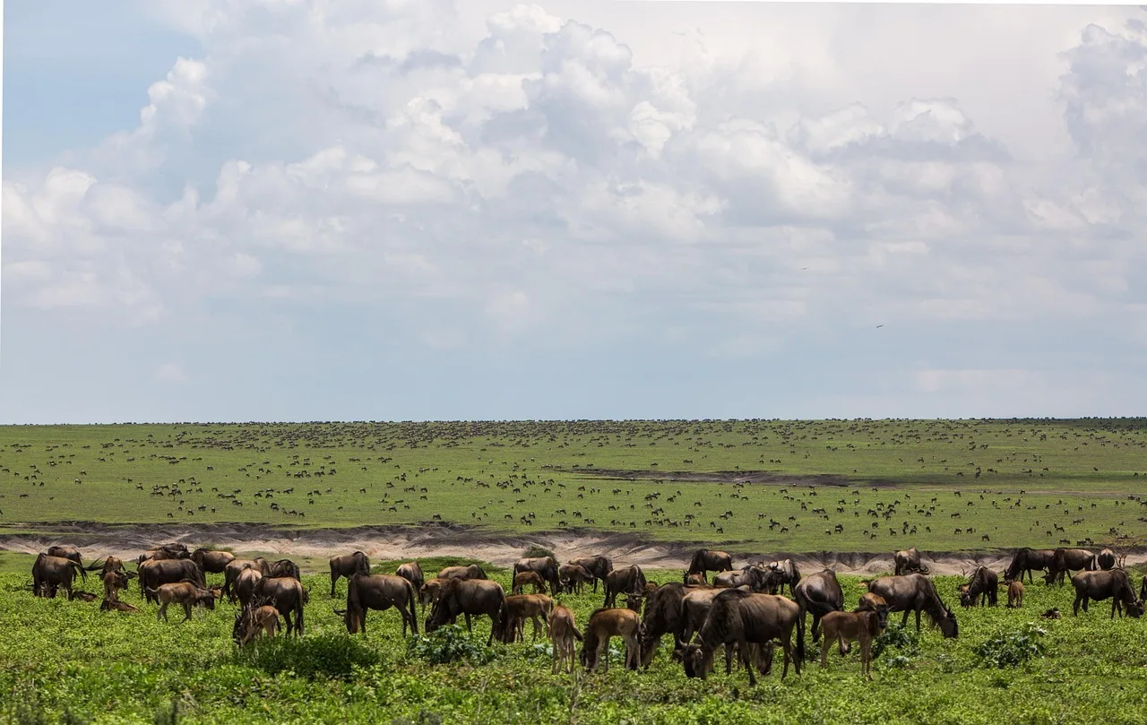 Tanzania : South Circuit