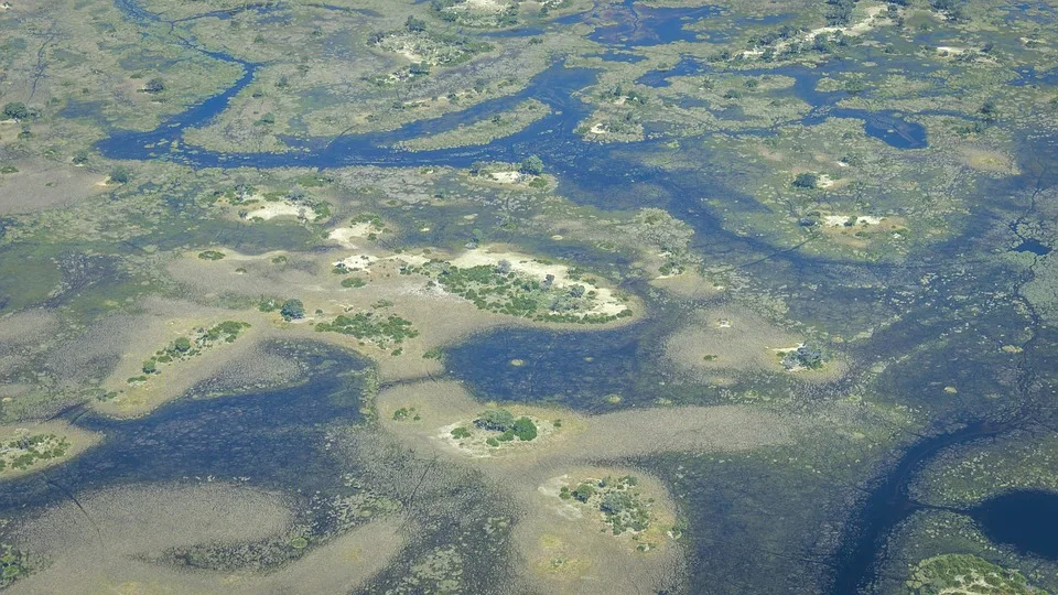 Zimbabwe, Botswana e Namibia - Wild Experience